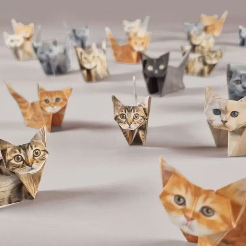 Creatief DIY Origami Handgemaa - Art Craft Cat recensie en prijs