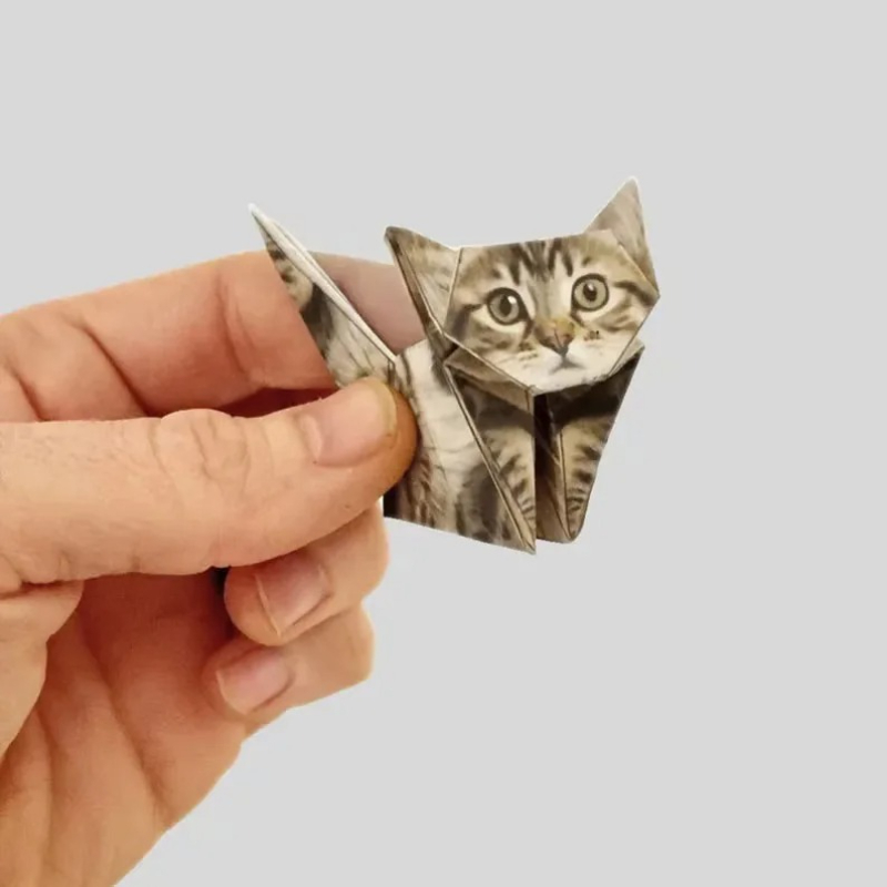 Creatieve DIY Papieren Katten  - Art Craft Cat recensie en prijs
