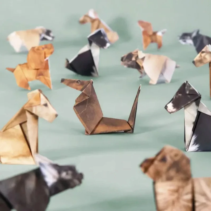 Creatieve DIY Papieren Katten  - Art Craft Cat recensie en prijs