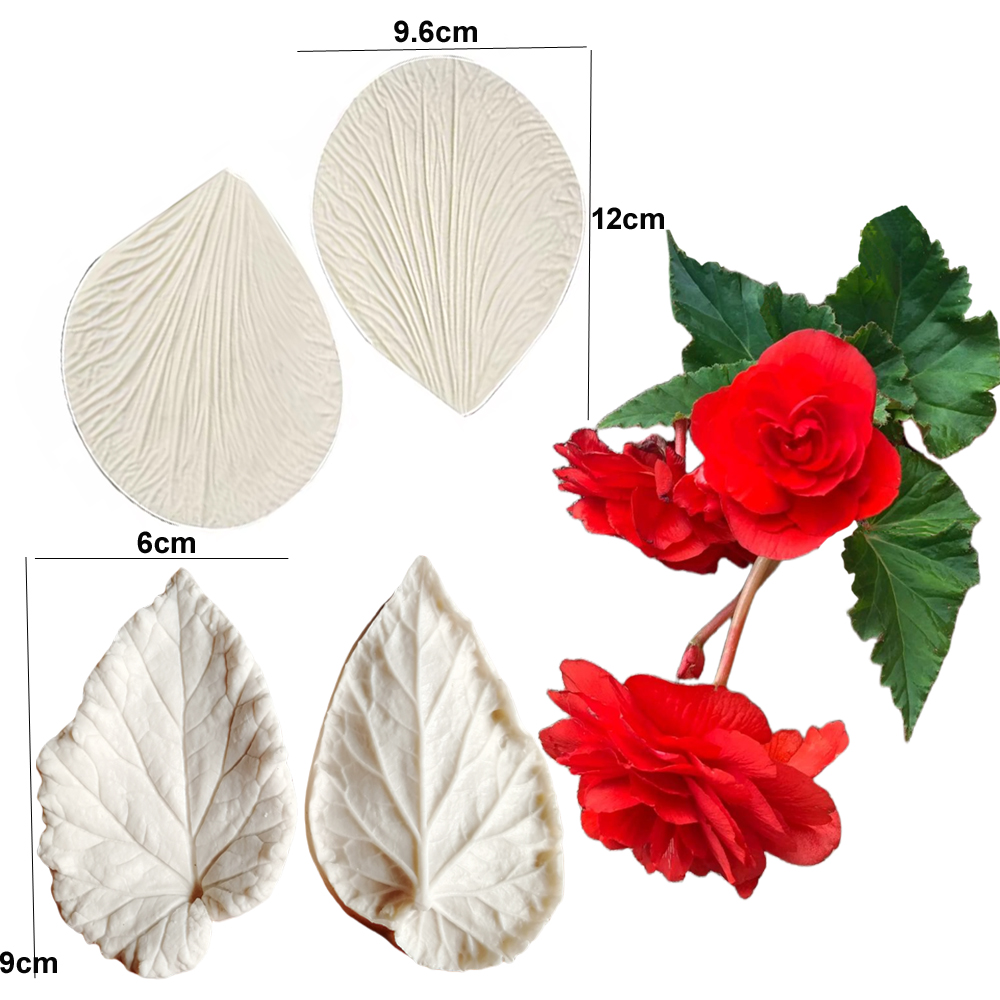 Begonia Tuberous Veiner silico - Eco Art Craft recensie en prijs
