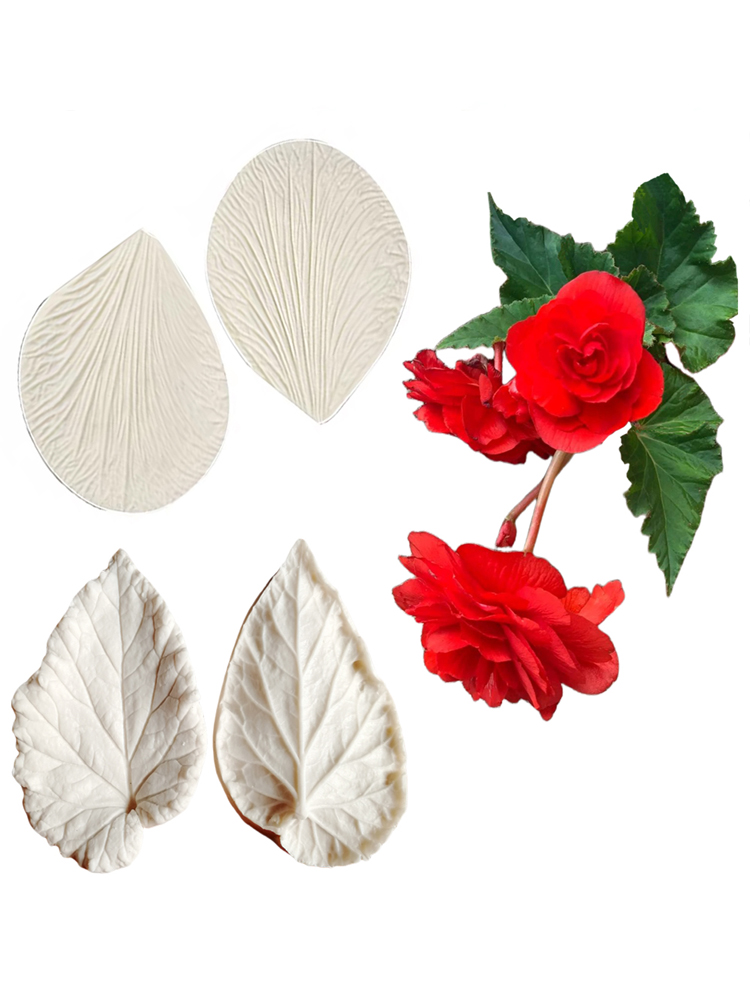 Begonia Tuberous Veiner silico - Eco Art Craft recensie en prijs
