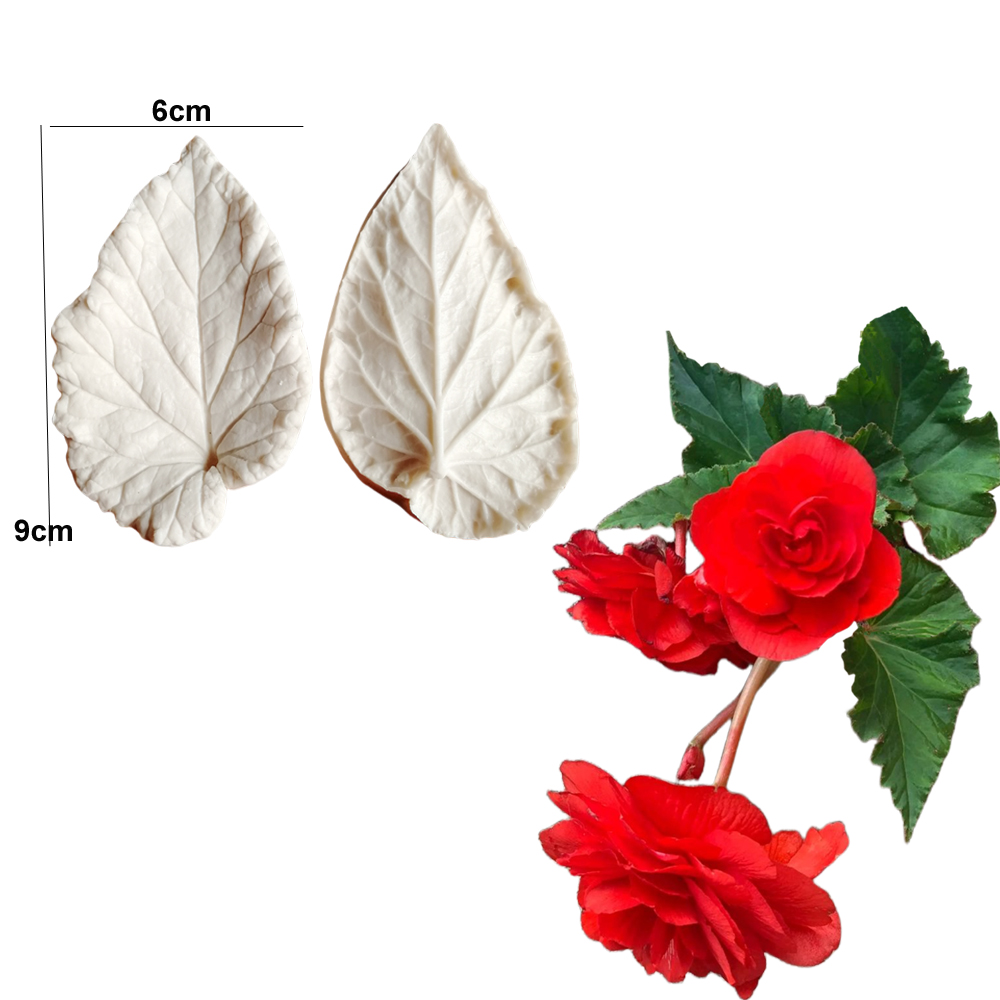 Begonia Tuberous Veiner silico - Eco Art Craft recensie en prijs